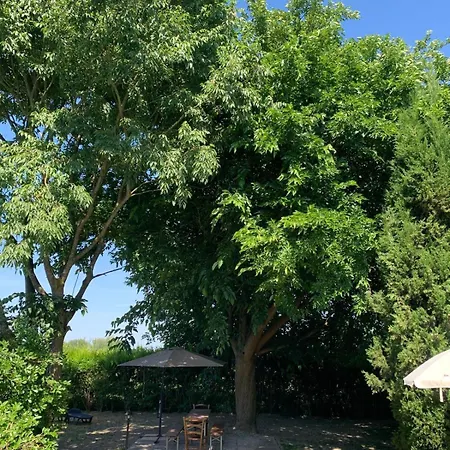 Gelsomono - Piccolo Rifugio Nel Con Piscina Esclusiva フェラーラ